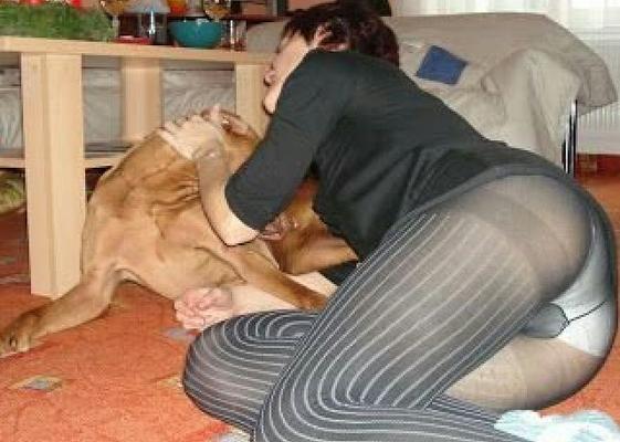 Pantyhose X