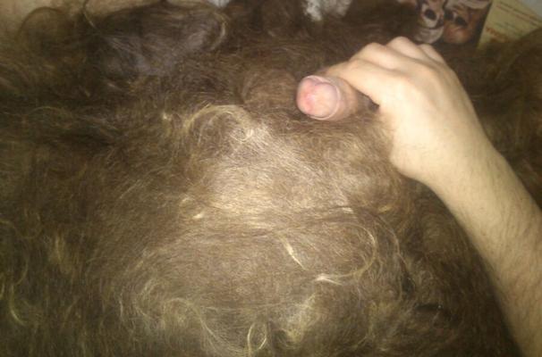 Haar