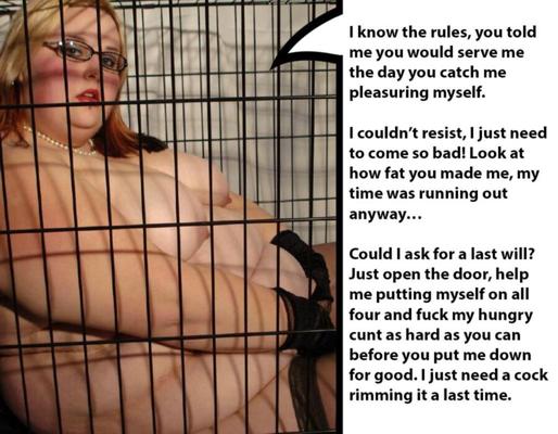 Mast junger Langschweine und BBW, gemischte Bildunterschriften 3