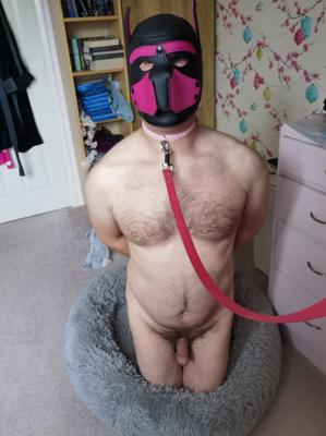 Sissy Puppy DeeDee necesita un maestro...