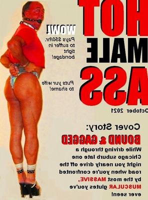 Portada de la revista Tribute realizada por un admirador
