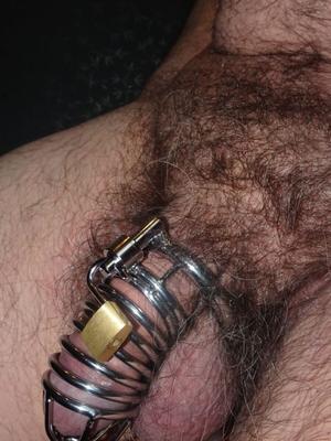 Minhas gaiolas de castidade