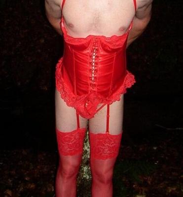 Stute in Dessous im Wald
