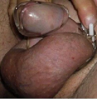 jaula