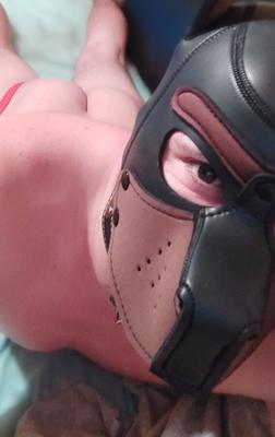 cachorrinho twink gostoso