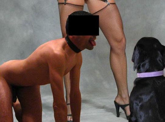 Kunidog
