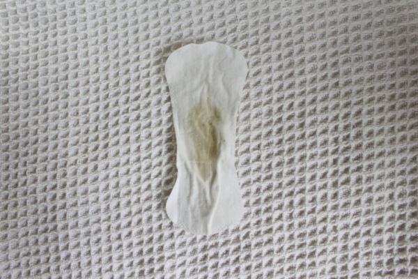 Schmutzige Slipeinlage mit vielen Schamhaaren von meiner Frau HQ