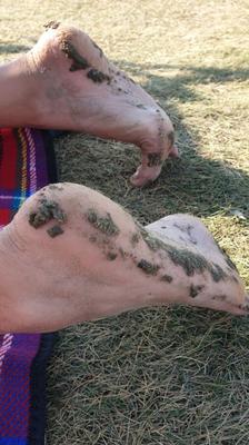 Dirty Feet - Schmutzige Fuesse