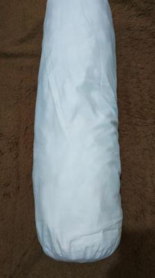 Spielen mit Bolster