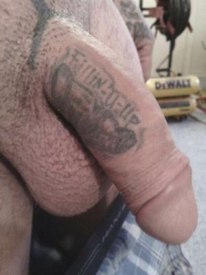 Galo Tatuado III