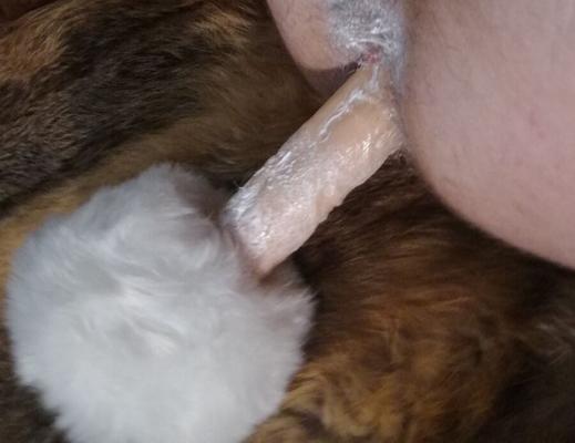 Crossdresser im Pelz mit cremigem Dildo
