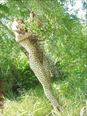 Mit Leoparden bedeckt