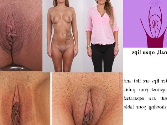 Tipos de vagina vulva buceta - forma diferente