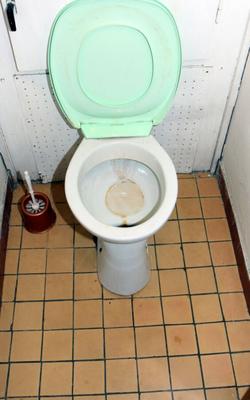 Santajak clean toilet again