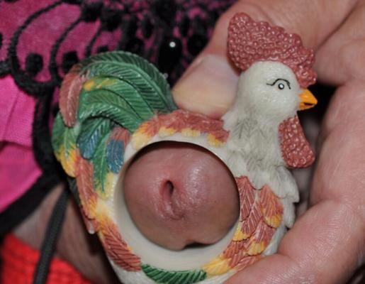 ROOSTER