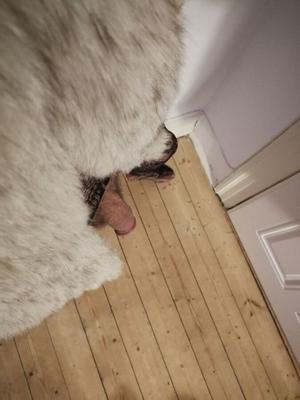 Pelzfetisch-Crossdresser. 