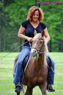 PONY RIDING 