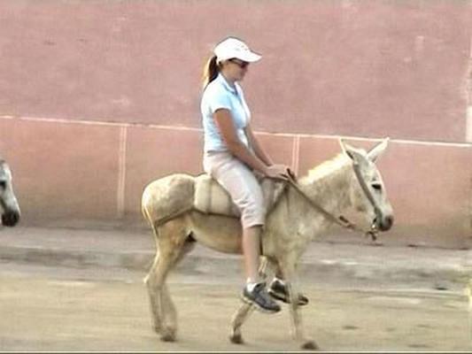 PONY RIDING 