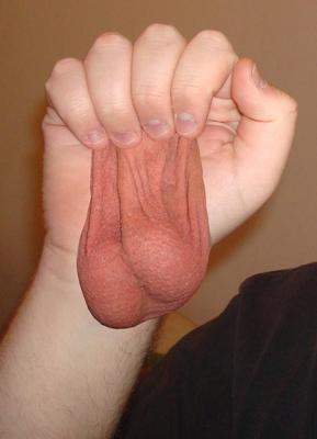 Penektomie Castration Femcan Dolcett Cut Funny Seltsame Insolit