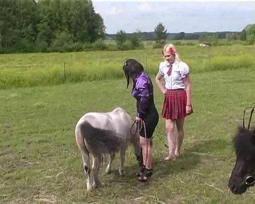 PONY RIDING 