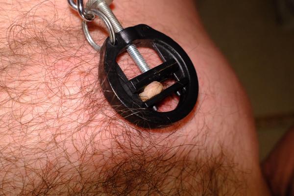 clamps