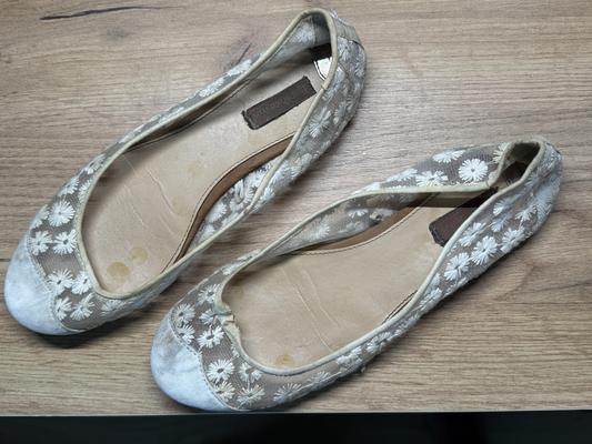 Mis zapatillas y pisos de ballet