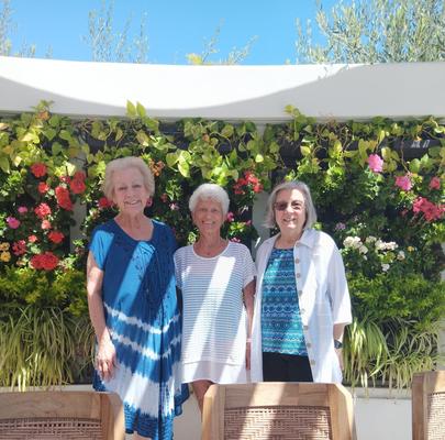 granny paradise 