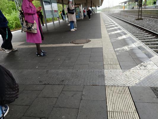 Nylons asiáticos en bombas elegantes