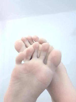 pies