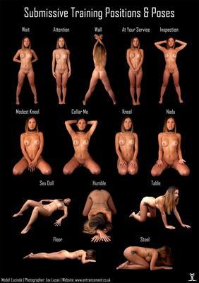 Training Positions and Poses
