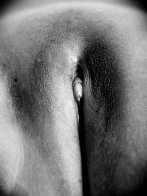 rasierte Scheide Vagina Bilder