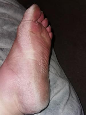 ビッグファットBBW、SSBBW、USSBBWセクシーブタ